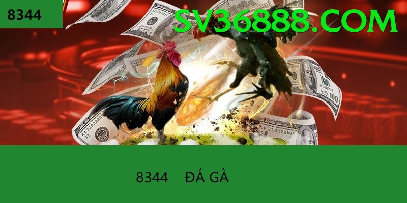 Đá Gà Trực Tiếp - Trải nghiệm tuyệt vời - Thế giới ảo